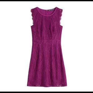 BRIXON IVY Medina Stretch Lace Dress